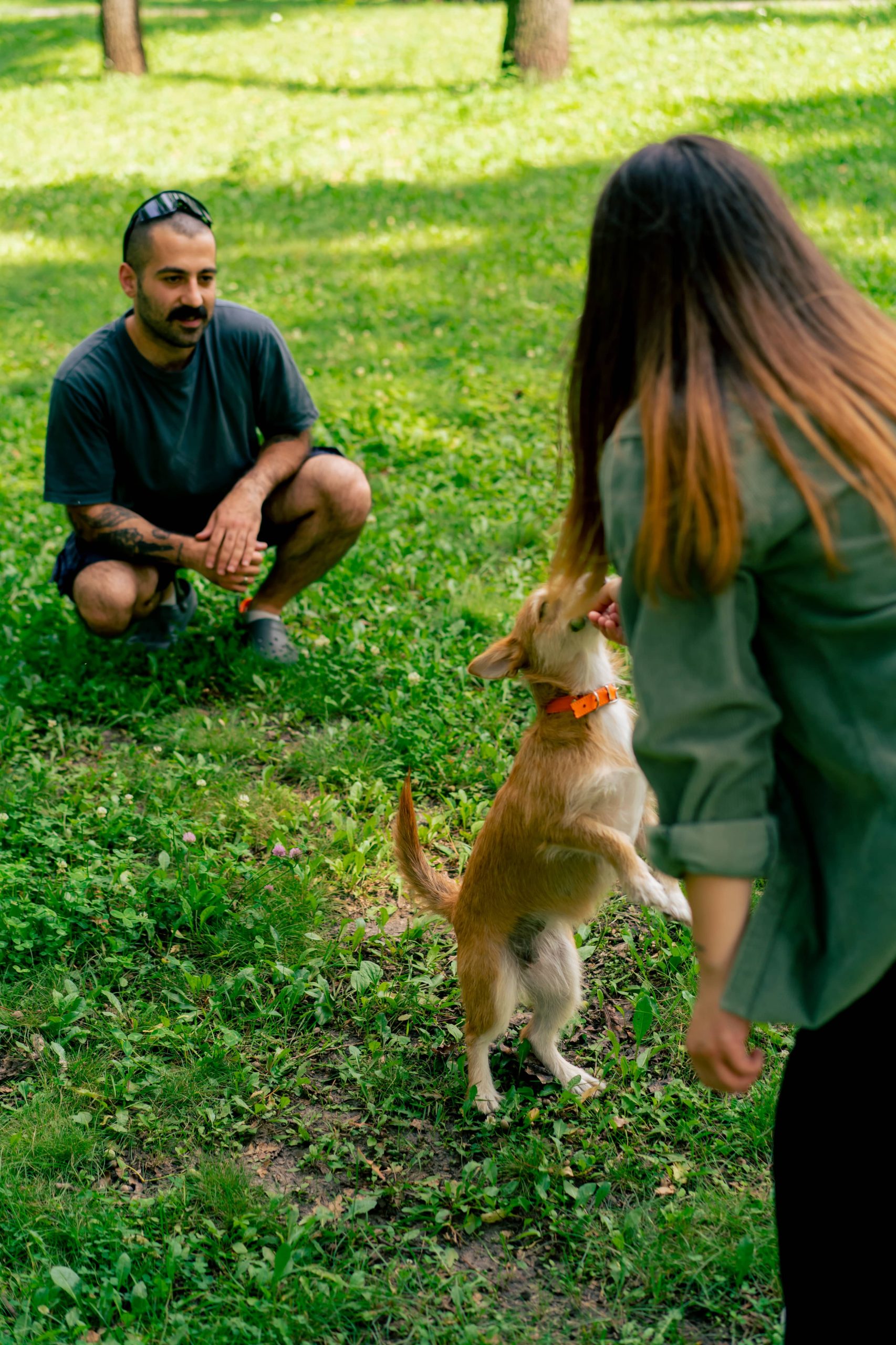 Training Ihres Hundes, Alleine Zu Hause Zu Bleiben