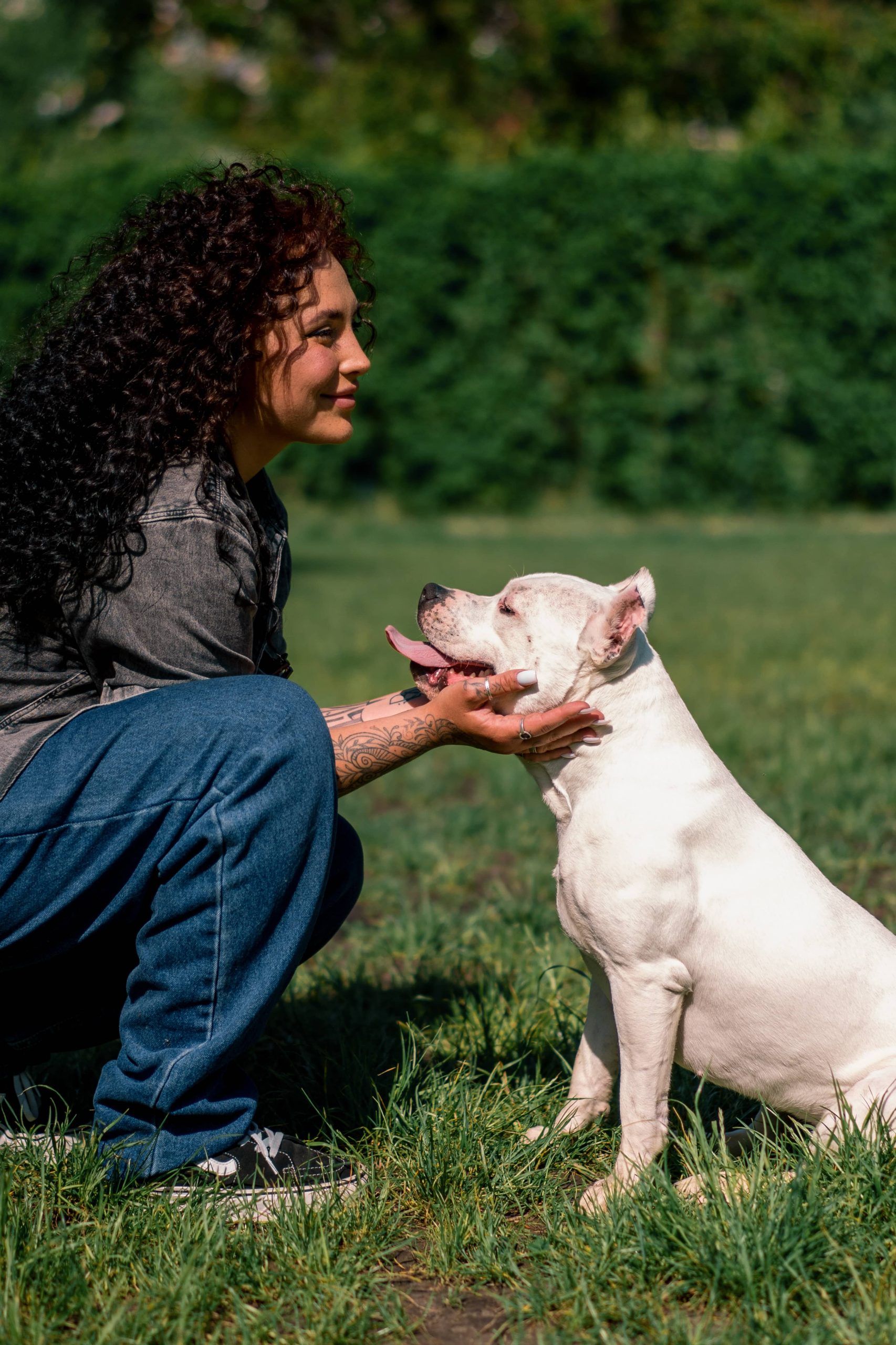 Wege, um zu Verhindern, dass Ihr Hund auf Menschen Springt